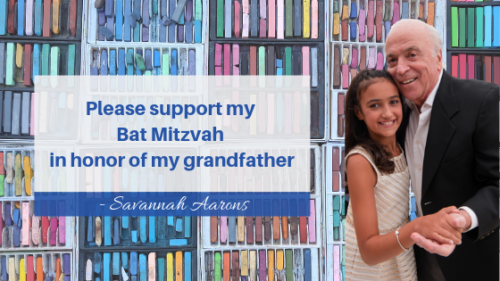 Bat Mitzvah Project, The Art Guild